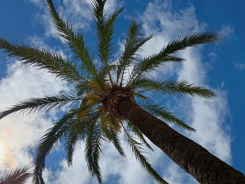 Vakantie!